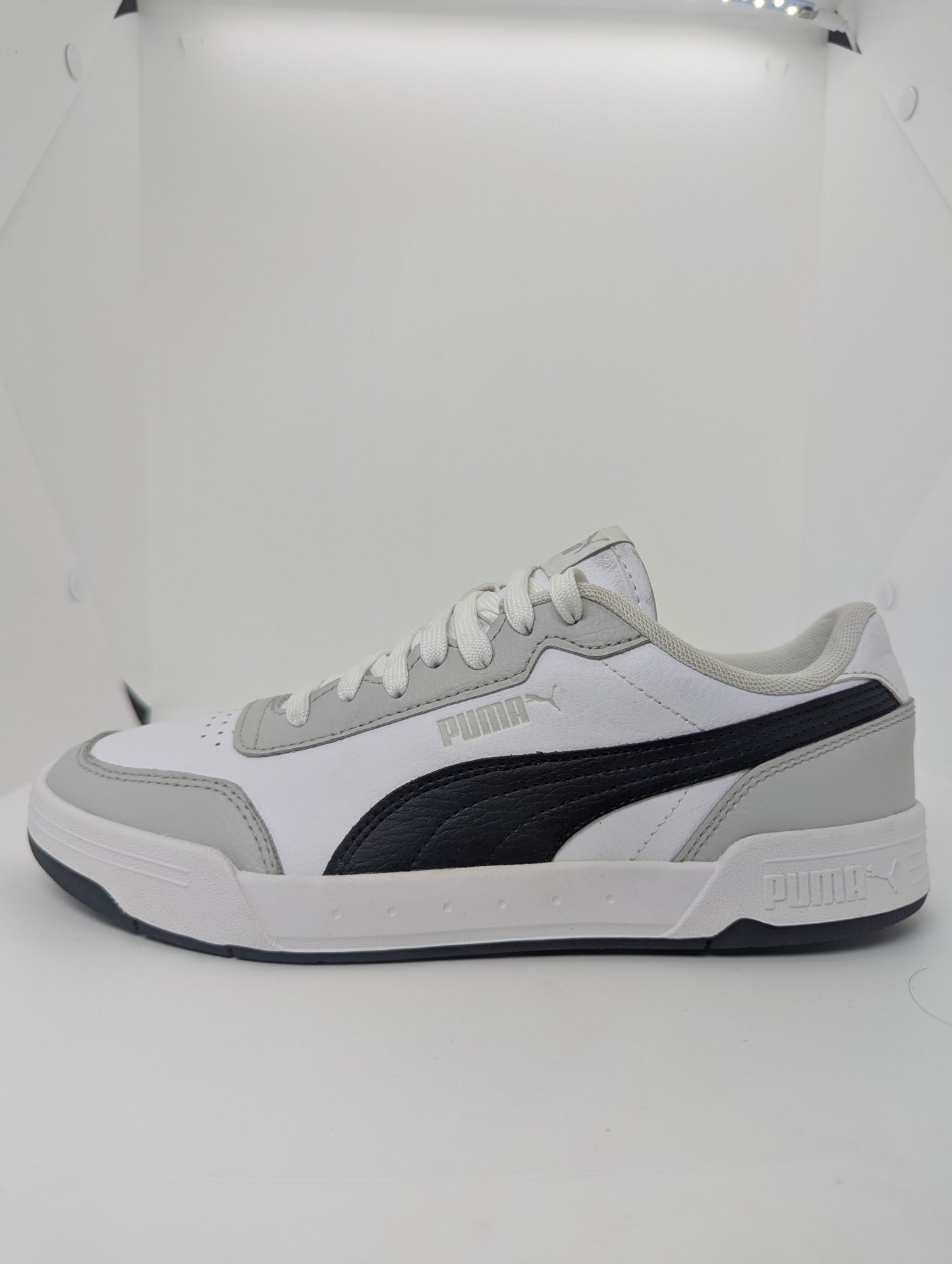 Puma Caracal