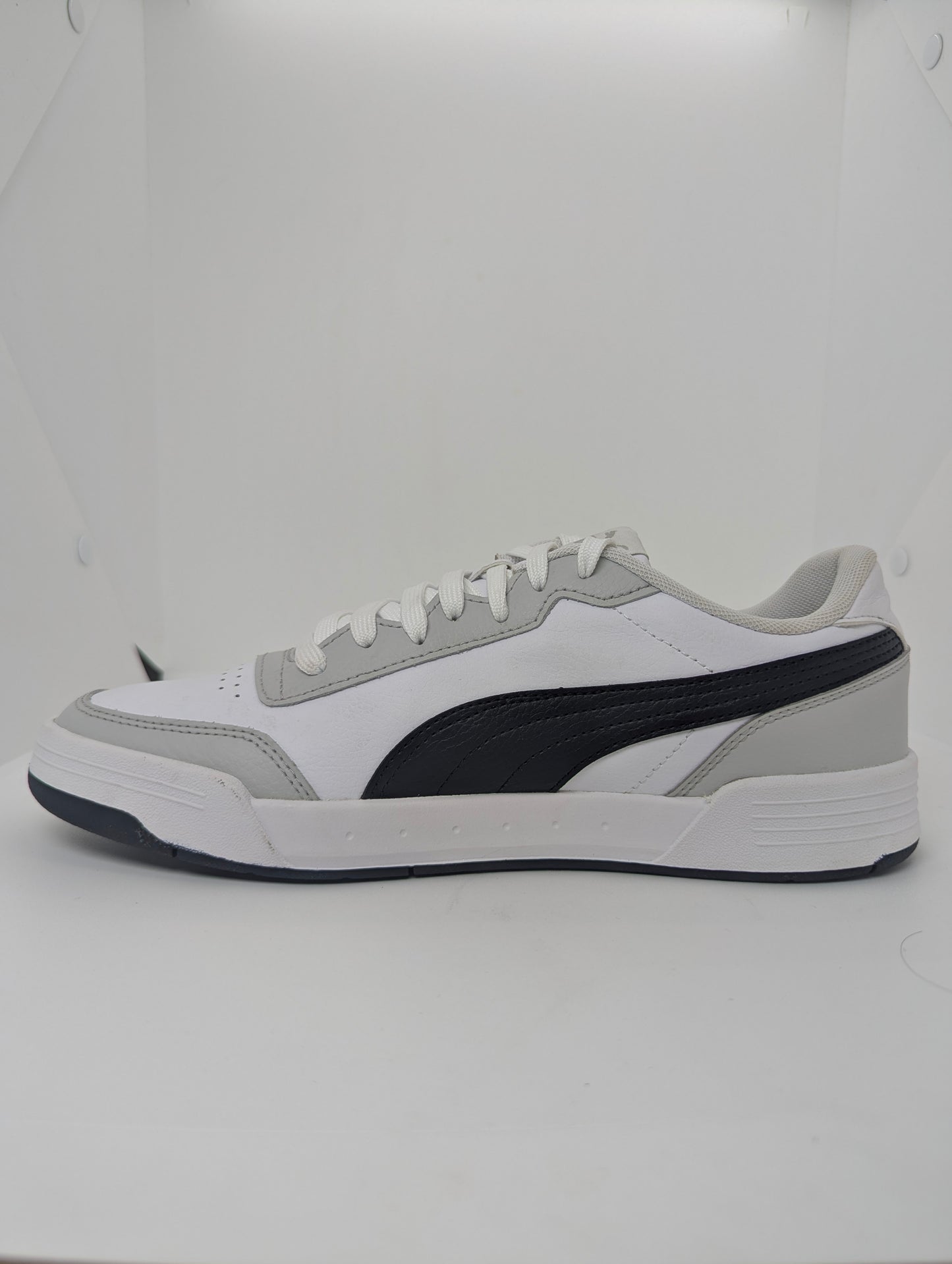 Puma Caracal