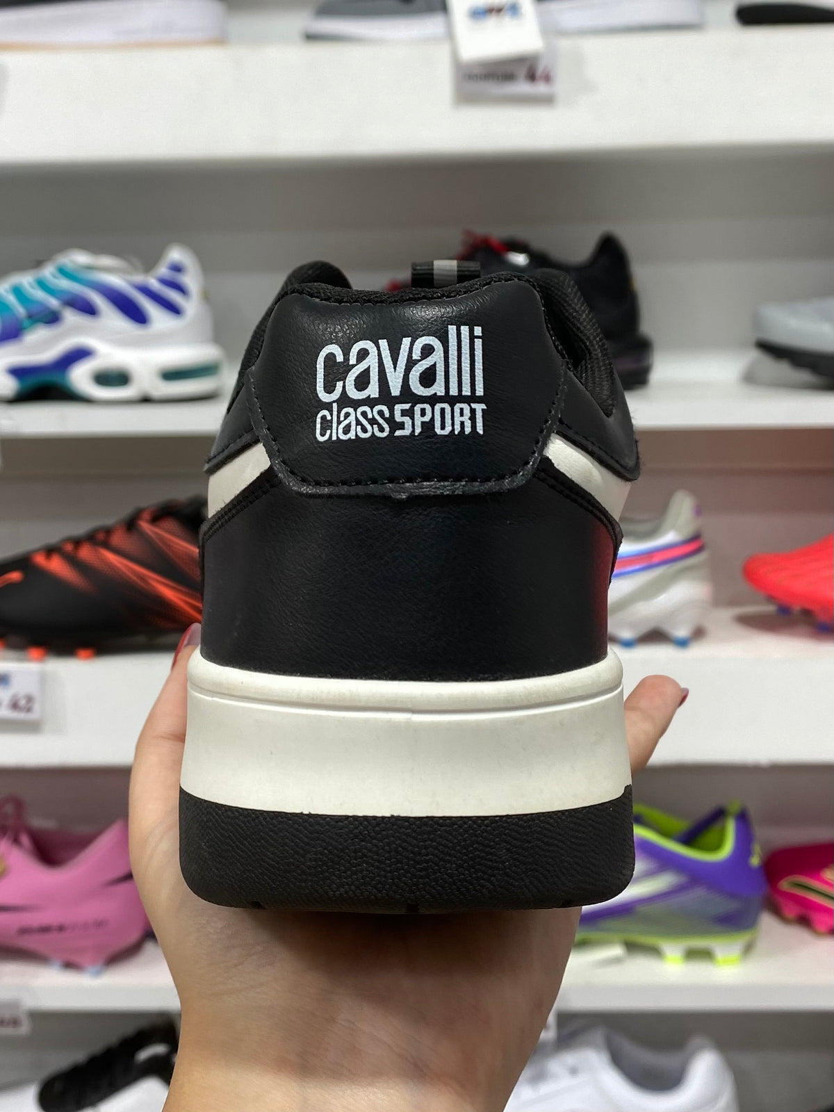 Cavalli Class CM8802