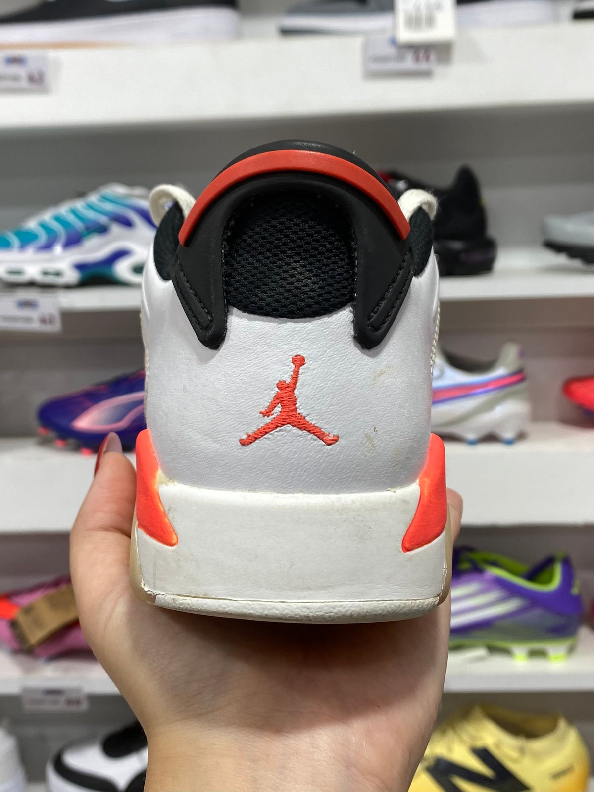 Air Jordan 6 Low