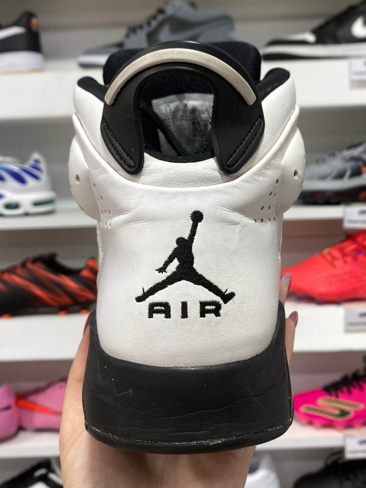 Jordan 6-17-23