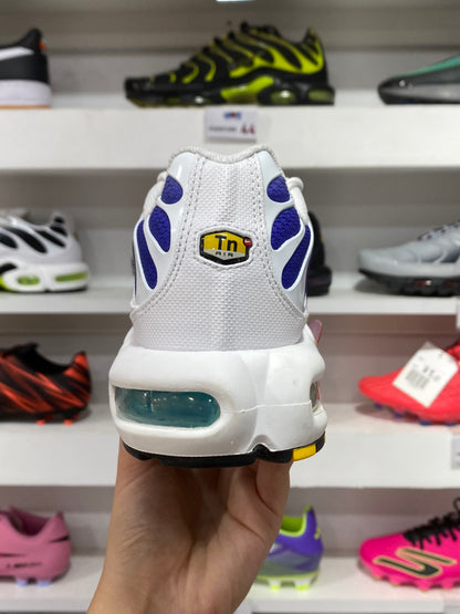 Nike Air Max Plus (AQUA)