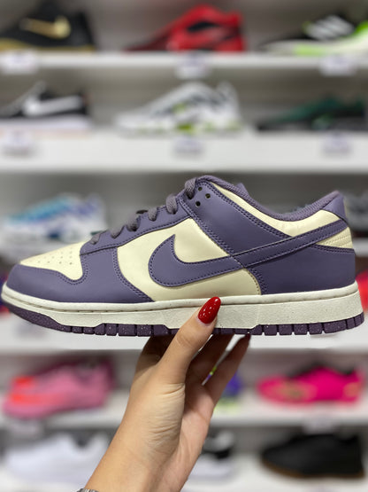 Nike Dunk Low Next Nature  "Daybreak"
