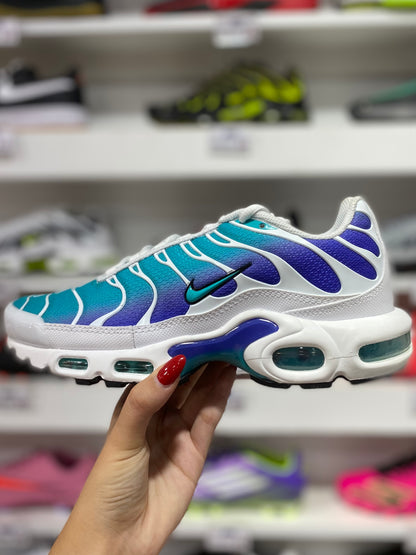 Nike Air Max Plus (AQUA)