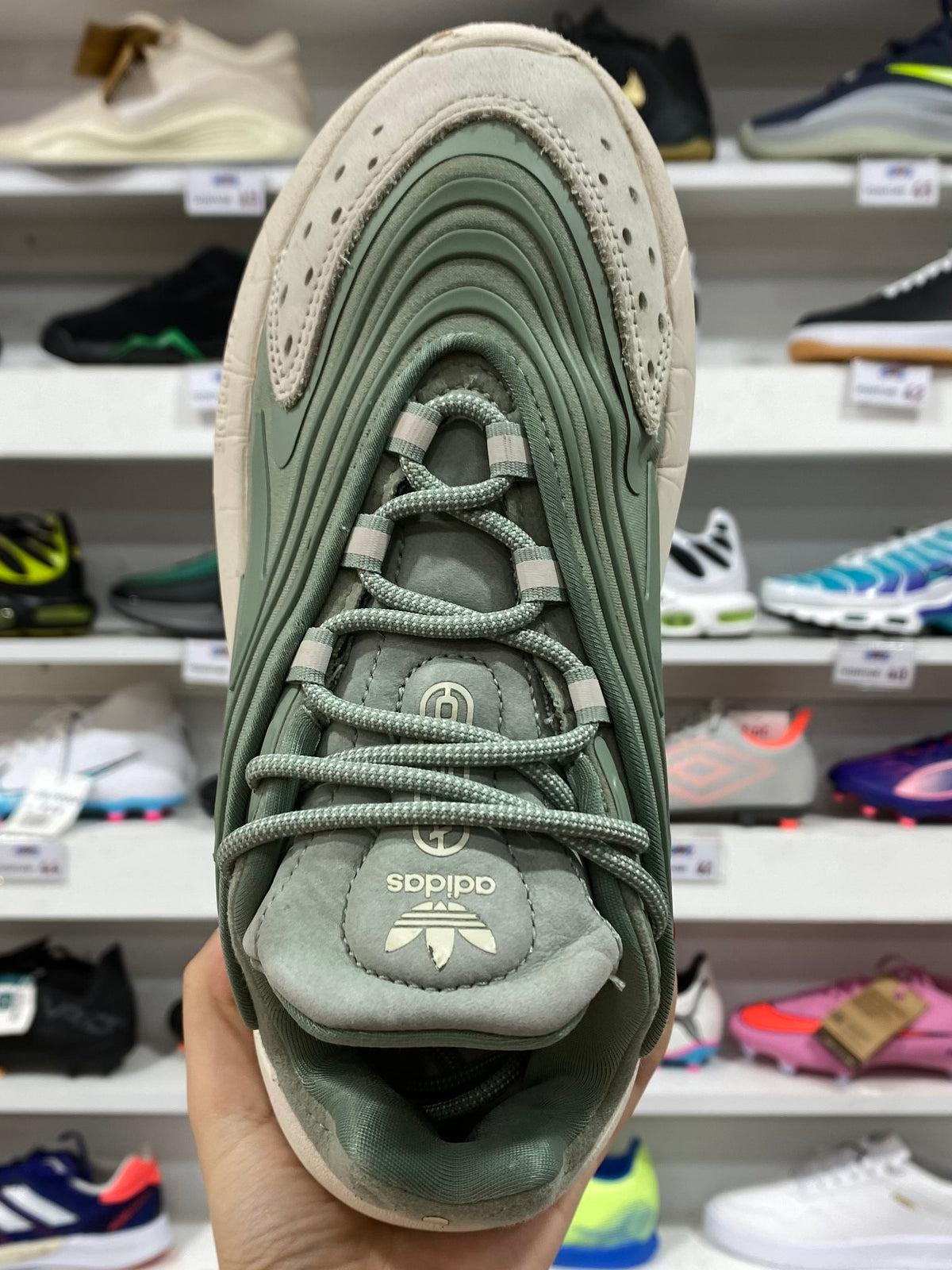 Adidas Ozelia