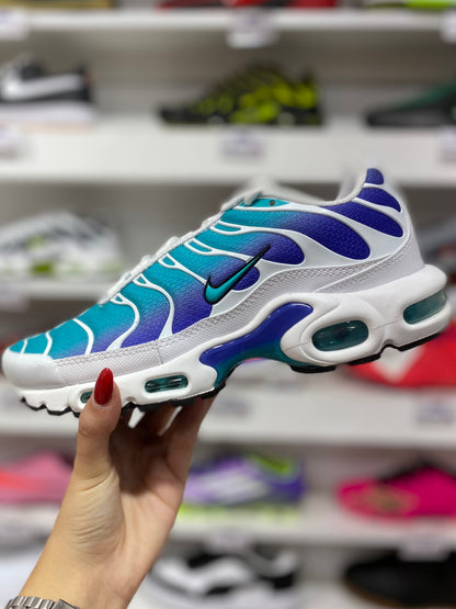 Nike Air Max Plus (AQUA)